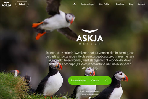 Askja Reizen